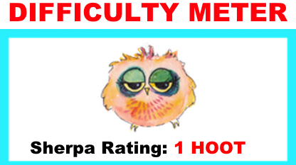 1 Hoots 1 Hoots